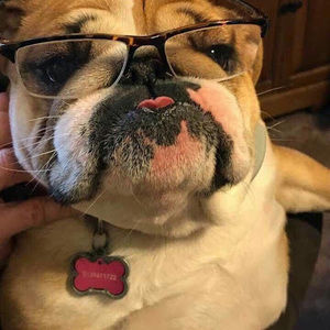 Meet your Posher, Kiley